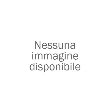 SERIE 710 IL DOPPIO - TRAVEL BRUSH 1